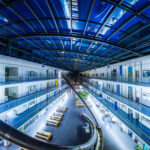 Tarımda Yapay Zekâ