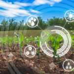 Dijital dönüşüm su sektörünü dönüştürüyor.